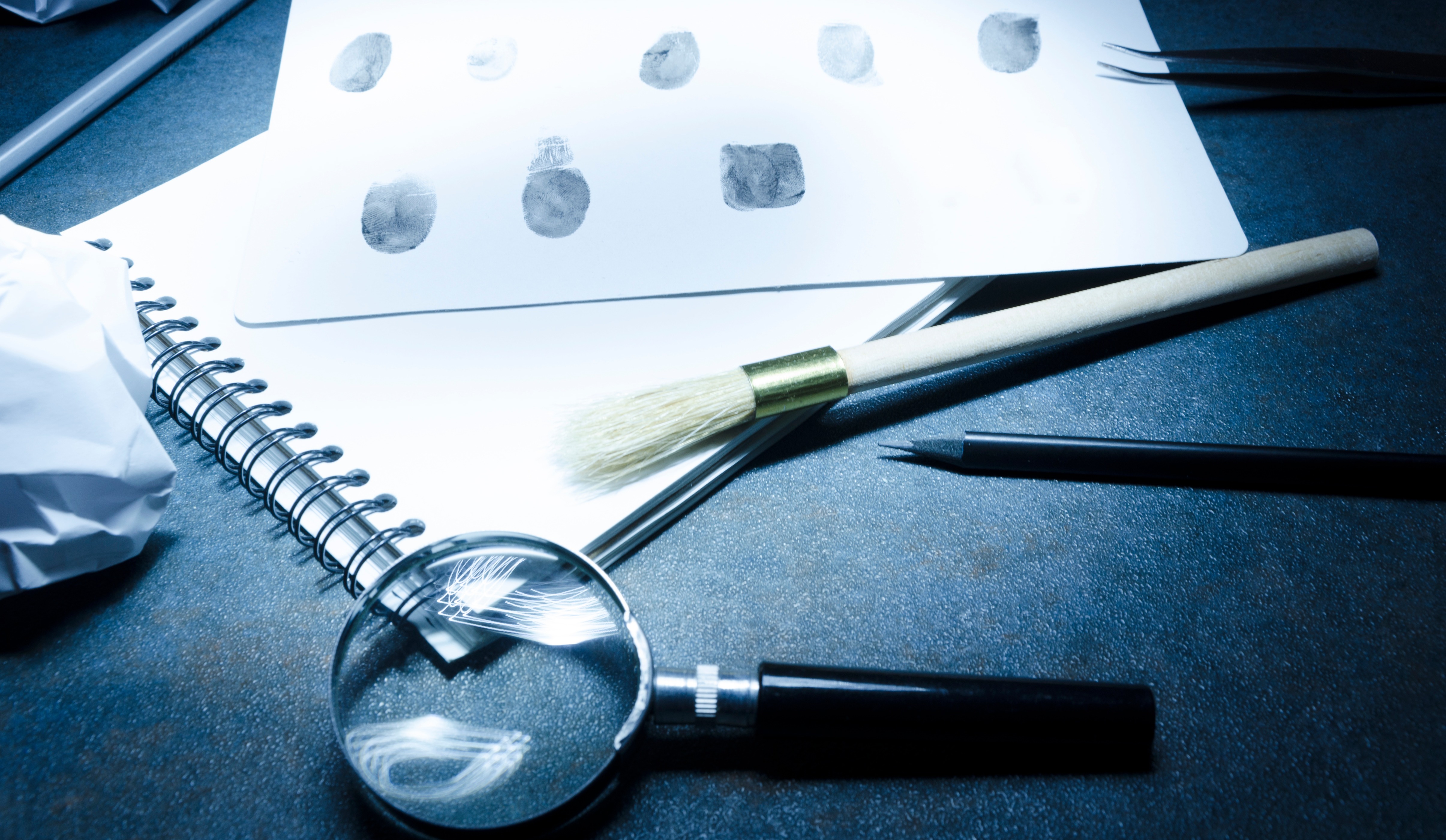 FORENSIC INVESTIGATION SERVICES